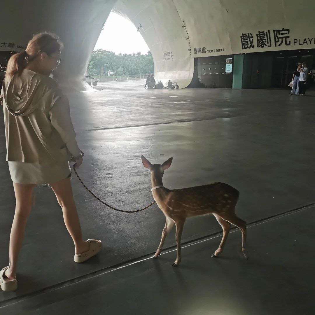 Deerpostss's tweet photo. Walkies :333 https://t.co/GMfOVV0svB