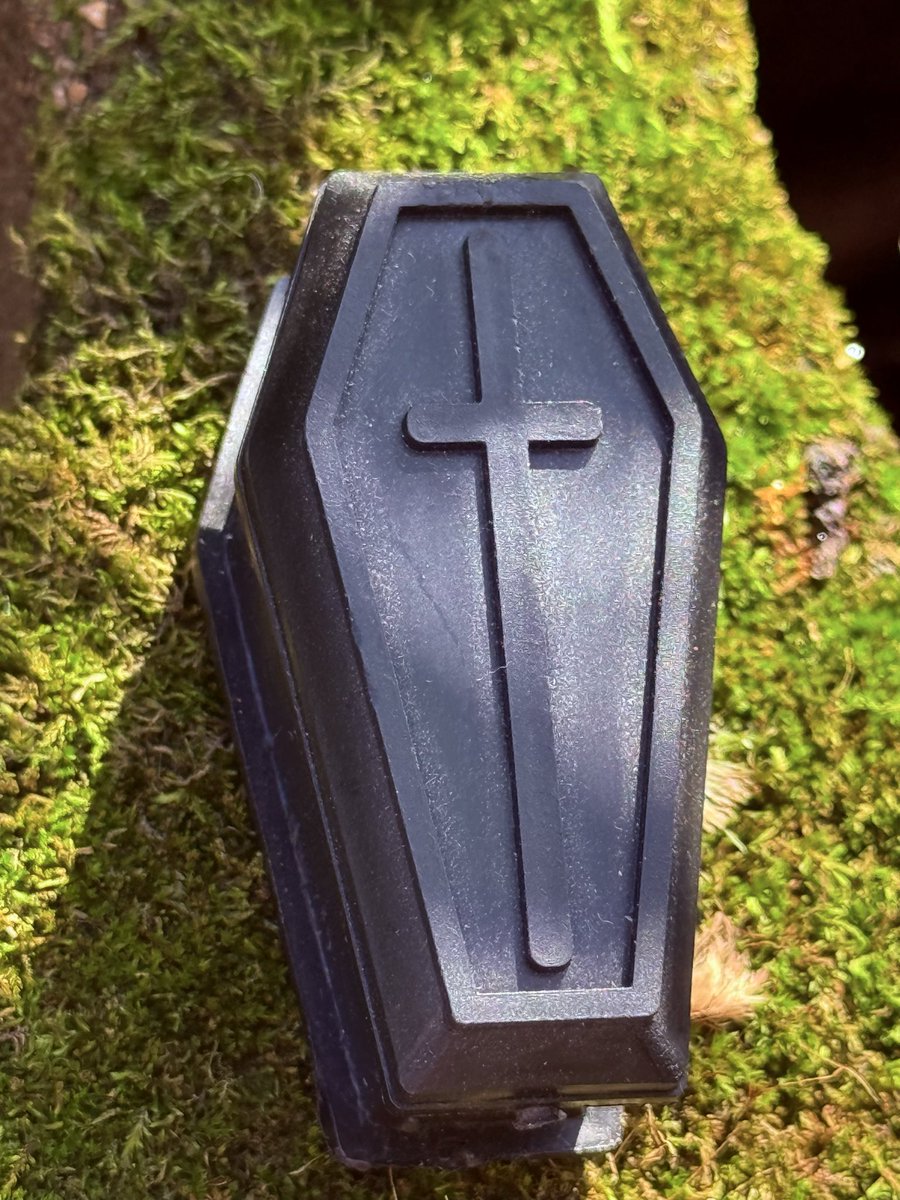 zigrock1's tweet photo. #Coffin #TinyCoffin #SpookySeason #CreepyCute #GothicVibes #DarkAesthetic #IntoTheWoods #ForestFinds #Mossy #MossyVibes #NaturePhotography #WoodlandVibes #Macabre #CreepyThings #GothicPhotography #HalloweenVibes #HauntedWoods #DarkPhotography #Oddities #Curiosities #StrangeFinds #CreepyNature #SeptemberVibes #FallVibes #SpookyVibes #CoffinArt
Inspiration on high this morning