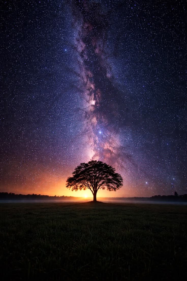 scienceacademyX's tweet photo. Standing Alone Under Infinite Stars https://t.co/I5MLeGmR8O