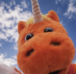 Buddy_AMC's tweet photo. POV: You opened the front camera by accident https://t.co/lfdrElFn11