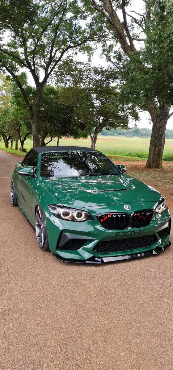 GilbertBelion's tweet photo. Anything looks good in green. https://t.co/6mZJodpCmk