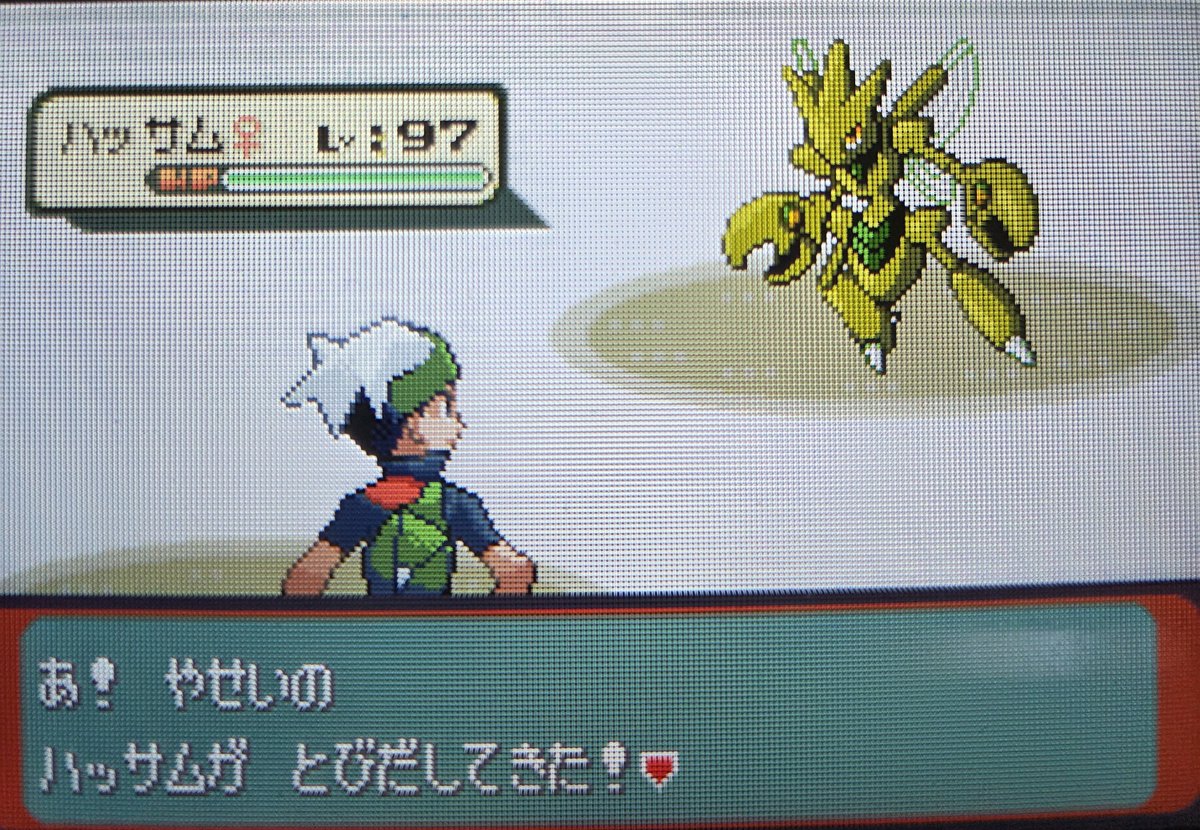 Drayzix's tweet photo. Cizayox shiny en 23 502 rencontres phase 2 à la pyramide de combat ✨ https://t.co/zhwpZtT2mu