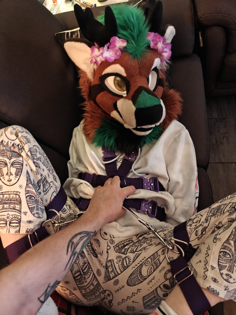 valhorns's tweet photo. Help I'm stuck

📸 @Yuruwolf https://t.co/ij08IZ0XDT