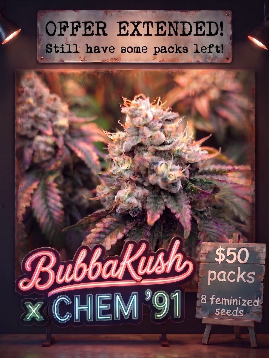 TwoDogSeeds_Co's tweet photo. We still have a few packs left!
These classic genetics is what started it all for me….
Head over to https://t.co/dwjoX9DMjf 
Shoot me a dm if you have any questions! https://t.co/wERHHhuzOr