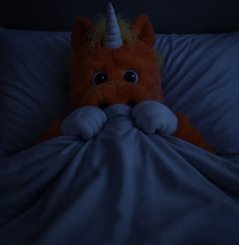 Buddy_AMC's tweet photo. Me hearing a noise at 3:17 AM https://t.co/dzAdiakYOK