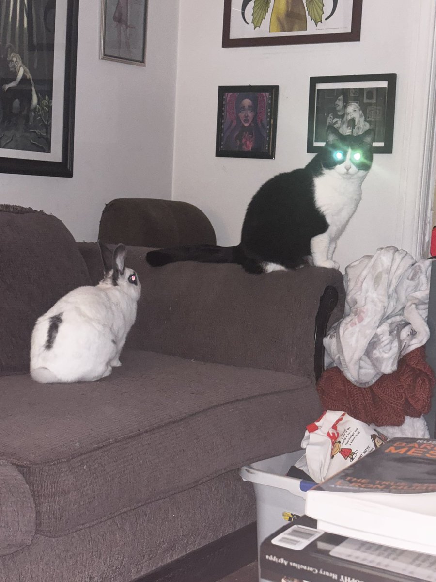 dummythiq's tweet photo. target acquired https://t.co/Vuu5cW6S5s