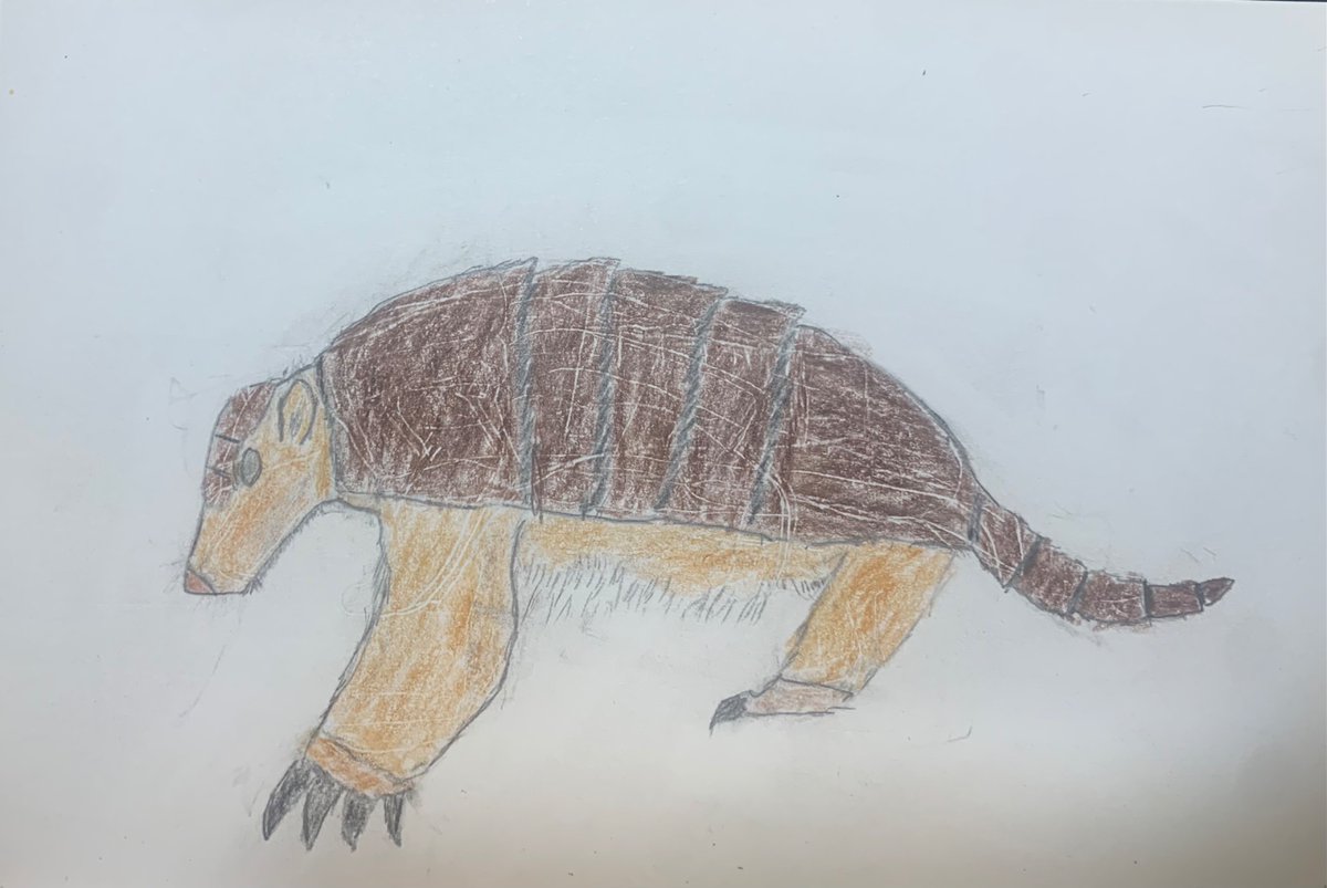 SolReagan34748's tweet photo. @MeggieEliseVA Well these won’t win awards but these are the finest drawing I’ve made. https://t.co/GkMLx09hjK