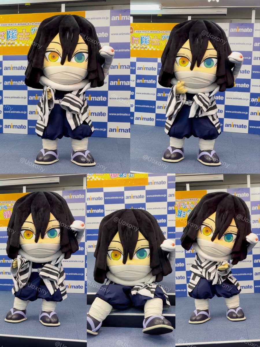 Uoxony's tweet photo. 0905みに隊士
おばぐるみかわいいショット📸🤍🖤
じーーーー→ぷいっ→バサッたまらん可愛い、静止画かと思った🤣🫶🏻 https://t.co/hmejb9ttRs