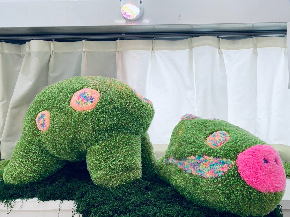 heijitsubijutsu's tweet photo. 可愛い作品の中にメッセージ性が強く考えさせられる。部屋の中で「東北の少女」が壁際から窓際の「明るい未来のキャトルミューティレーション」を眺めてるような作品展示もよかった。

「東北の少女」
「明るい未来のキャトルミューティレーション」
「笑」
松本さとみさん https://t.co/e6GzxttPRp