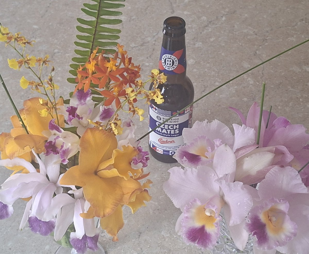 MMcQui13's tweet photo. Happy fathers Day 🍻 🍺 🌺 https://t.co/s6dYGhFukj