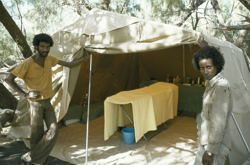 shabait's tweet photo. ሌላ ምስ ደጀንን ክፍልታትን ህዝባዊ ግንባር
7ይ ክፋል
መሓመድ እድሪስ

ኣብ ዝሓለፉ ሕታማት ካብቶም 11 ክፍልታት ህዝባዊ ግንባር፡ ክፍሊ ህዝባዊ ምምሕዳርን ክፍሊ ቁጠባን ምስተን ኣብ ትሕቲኡ ዝመሓደራ ዓሰርተ ኮሚሽናት ርኢና ነይርና። ኣብዚ ናይ ሎሚ ሕታምና ድማ፡ ንክፍሊ ሓለዋ ጥዕና ክንርኢ ኢና፥

3. ክፍሊ ሓለዋ ጥዕና፦
ኣካላውን ስነ-ኣእምሮኣውን ጥዕና ህዝቢ ንምሕላው፡ ኣሽንባይ ብረታዊ ቃልሲ ንዘካይድን ምስ ሕጽረታት እናተቓለሰ ዝሰርሕን ውድብ፡ ኣብ ንቡር ኵነታት እኳ ከቢድ ዕማምን ብድሆን እዩ። ህዝቢ ኤርትራ ዝነበሮ ቁጠባዊ ኵነታት፡ ዘጓንፎ ዝነበረ ባህርያዊ ጸገማት (ከም ደርቂ ዝኣመሰለ)፡ ቀጻሊ ኲናት፡ ጽኑሕ ልምድታት፡ መግዛእታዊ ናይ ጥዕና ሜላታት ወዘተ፡ ኵነታት ጥዕናኡ ኣብ ዝበኣሰ ከም ዝወድቕ ገይሩዎ እዩ። በዚ መንጽር ከኣ፡ ዘድልዩዎ ዝነበሩ ሕክምናዊ ኣገልግሎታት ኣዝዮም ብዙሓት እዮም።

ህዝባዊ ግንባር ኣገልግሎት ሕክምና ብናጻ ከም ዝወሃብን ናብ ምሉእ ህዝቢ ከም ዝባጻሕን፡ ሆስፒታላትን መደበራት ሕክምናን ብምምስራት ሕማማት ምጥፋእ፡ ናይ ሃገር ልምዳዊ ኣገባብ ሕክምናን ኣፈዋውሳን ብስነ- ፍልጠታዊ መንገዲ ምምዕባል፡ ጥዑያት ዜጋታት ንምህናጽ ናይ ስፖርት መደበራት ምኽፋት ዝብሉ ሸቶታት ሒዙ ሕክምናዊ ንጥፈታቱ ኣብ ህዝብን ሰራዊትን ይህብ ነበረ። ኣብ ህዝቢ፡ ማእከላይ ሆስፒታል፡ ዞባዊ ሆስፒታል፡ ማእከል ጥዕና፡ መደበራት ጥዕና፡ ሕክምና ገጠር (ልምዳውያን መሕረስትን ናይ ገጠር ሓካይምን) ወዘተ፡ እናበለ ብምውዳብ ኣበርቲዑ ሰርሓሉ። ትካላት ጥዕና ኣብ ኵለን ሓራ ከተማታትን ገጠራትን ግቡእ ኣገልግሎት ከም ዝህባን ከም ዝዓብያን ገበረ።

ተንቀሳቐስቲ ኣጋር ሓካይም’ውን ናብ ኩሉ ኵርናዓት ኤርትራ ብምዝርጋሕ፡ ንህዝቢ ኣገልግሎት ኣብ ምሃብ ሓያል ጻዕሪ የካይዱ ነበሩ። ስትራተጂካዊ ምዝላቕ ንጥዕናዊ ንጥፈታት ከም ዝውስን እኳ እንተ ገበሮ፡ ጸኒሑ ኣብ ሓራን ሓውሲ-ሓራን ቦታታት ሆስፒታላትን መደበራትን እናተመስረታ ክሰፍሓ ክኢለን እየን።

ኣብ እዋን ቃልሲ ብዓውዲ ሕክምና ዝተማህሩ ክኢላታት ናብቲ ሰውራ ብብዝሒ ስለ ዝተጸንበሩ፡ ሕክምናዊ ኣገልግሎታት ብዓይነት’ውን ክዓቢ ከኣለ። ሕክምና ህዝባዊ ግንባር ጽልዋኡ እናዓበየን ብቕዓቱ እናተመስከረን ብምምጽኡ፡ ህዝቢ ጸላኢ ካብ ዝቈጻጸሮ ቦታታትን ሃገር ስደትን ከይተረፈ እናመጸ ይሕከም ነበረ።

ሜላታት ምክልኻል ንምዕባይ፡ ጥዕናዊ ንቕሓት ክብ ንምባል፡ መደባት ትምህርቲ ተሰሪዖም ማዕረ- ማዕረ ፖለቲካዊ ትምህርቲ ይወሃቡ ነበሩ። መጽሓፍቲ፡ መጽሔታትን ጽሑፋትን እናተሓትሙ ከኣ፡ ኣፍልጦ ሕክምና ህዝብን ተጋዳላይን ከም ዝዓቢ ገይሮም እዮም። መሰረታውያን መድሃኒታት ኣብ ውሽጢ ደጀን ንምፍራይ ትካላት መፍረ-መድሃኒት ምቛሙ ድማ፡ ሓደ ካብ ኣደነቕቲ ምዕባለታት ሜዳ እዩ ነይሩ።

ኣብ ሰራዊት’ውን ካብ ማእከላይ ወተሃደራዊ ሆስፒታል ክሳብ ጋንታ ዝወርድ ኣገልግሎት ጥዕና ነበረ። እቲ ኣብ ዓውደ-ኲናት ዝናብራኡ ህዝባዊ ሰራዊት ሰኣን ሕክምና ከይስዋእ ሓካይም ውድብ ብዙሕ ተኣምራታዊ ሕክምናዊ ኣገልግሎት ሂቦም እዮም። እዚ ክፍሊ’ዚ ህዝባዊ ግንባር ዝለዓለ ገስጋስ ዘርኣየሉ ክፍሊ ነይሩ።

ስለዚ ብኸምዚ ዝረኣናዮ፡ እቲ ኣብ እዋን ሰውራ ብትሑት መሳርሒታትን ብኣጋር ሓካይምን ኣብ ትሕቲ ጽላል ገረብን በዓትን ዝፈለመ፡ ሕክምናዊ ኣገልግሎት ሰውራ፡ ካብ ግዜ ናብ ግዜ እናሰፍሐን እናማዕበለን ከይዱ። ምዕቡል ሕክምናዊ መጥባሕቲ ዝገብር፡ ምዕቡል ላባራቶሪታትን ኤክስረይን እናተጠቕመ፡ ንህዝብን ተጋደልትን ጥራይ ዘይኮነ፡ እንኮላይ ካብ ሱዳን ከይተረፉ ክሕከሙ ናብ ሆስፒታላት ሰውራ ዝመጽኡ ሲቪል ይሕክም ነበረ። እዚ ክፍሊ ሓለዋ ጥዕና’ዚ ካብ ባዶ ተበጊሱ ናብ ዝለዓለ ጫፍ ዝበጽሐ እዩ። እዚ ድማ መርኣያ ናይቲ ህዝባዊ ግንባር ኣብ ሓለዋ ጥዕና ዝነበሮ ንጹር ራእይን ፖሊሲን’ዩ።