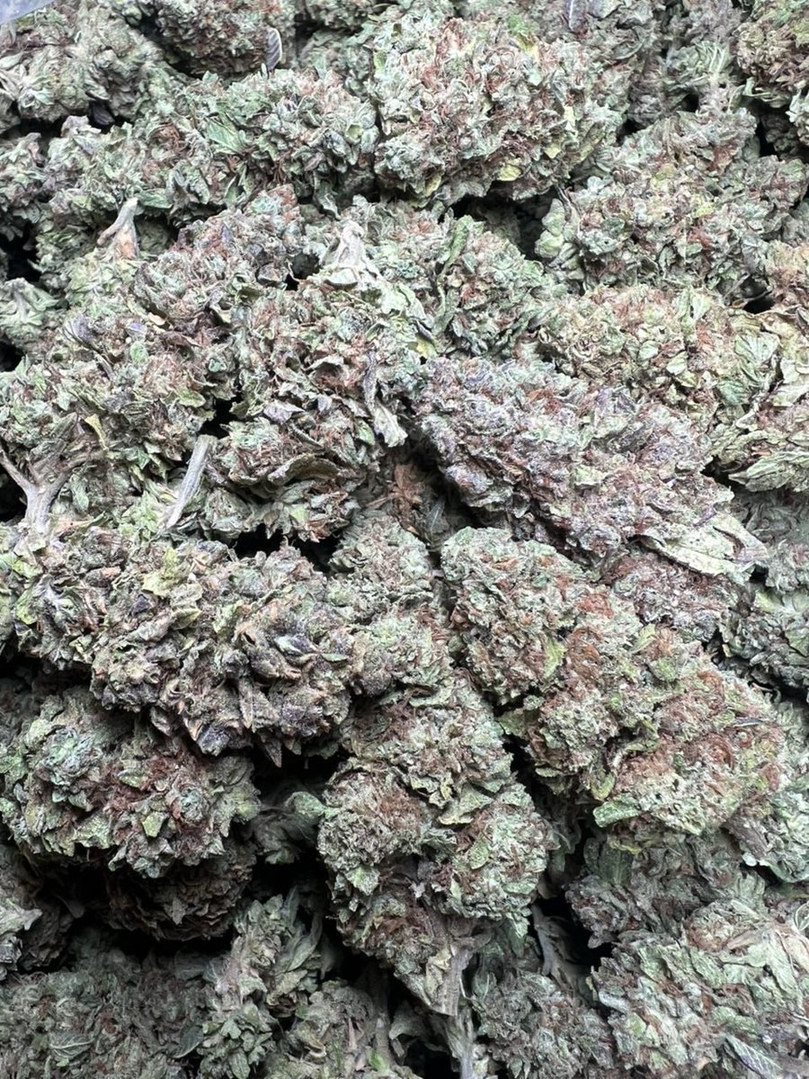 ZoneOfGreen1's tweet photo. Sharpie Licensed Dep

Shipped 📦:
5 lbs @ 2000
1 lb @ 450
1/2 lb @ 275 https://t.co/DudVWybbxD