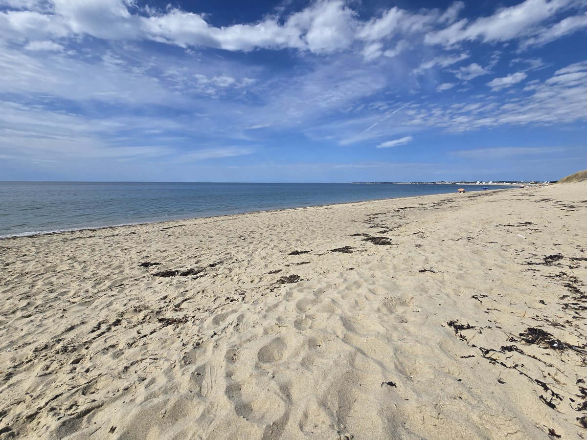 MikeyS86's tweet photo. Let's go to the beach together https://t.co/gHT5zicpAG