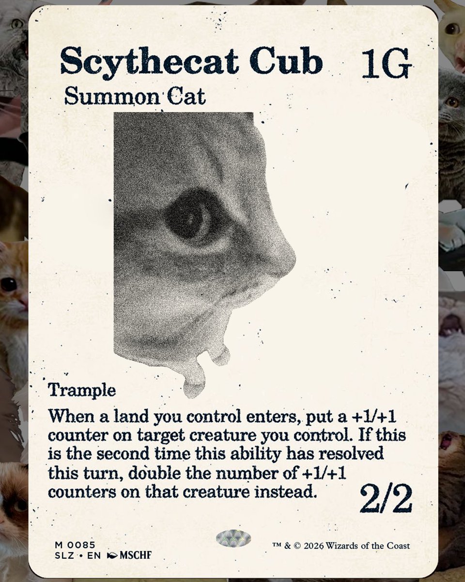 MagicBarcelona_'s tweet photo. 🐱 The Catto Test

#magicbarcelona #mtg #mtgcommunity #mtgmeme #cats https://t.co/yX8CswOqAX