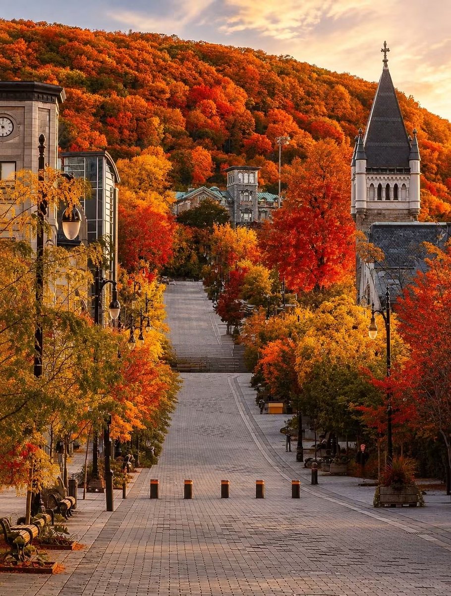 SeascapeNature's tweet photo. Montreal, Quebec, Canada 🇨🇦 https://t.co/EhvTGLCK9y