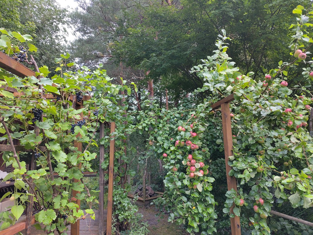 lbienel's tweet photo. Unterwegs in Brandenburg und tolle engagierte ehrenamtliche Gartenbetreiber kennen gelernt. https://t.co/YATPC0FC41