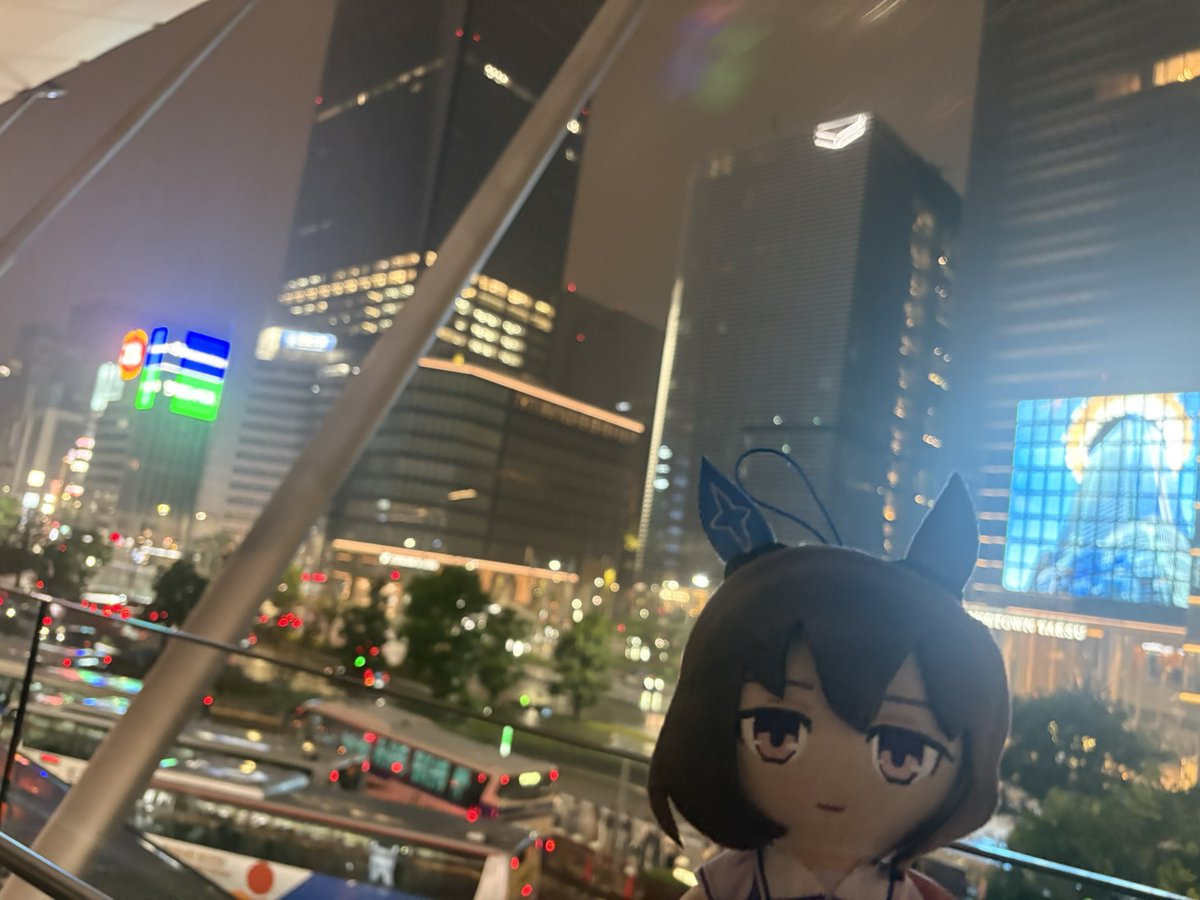 Akr1_vega's tweet photo. 東京の夜景だねアヤベさん https://t.co/BKfW7nX2kg