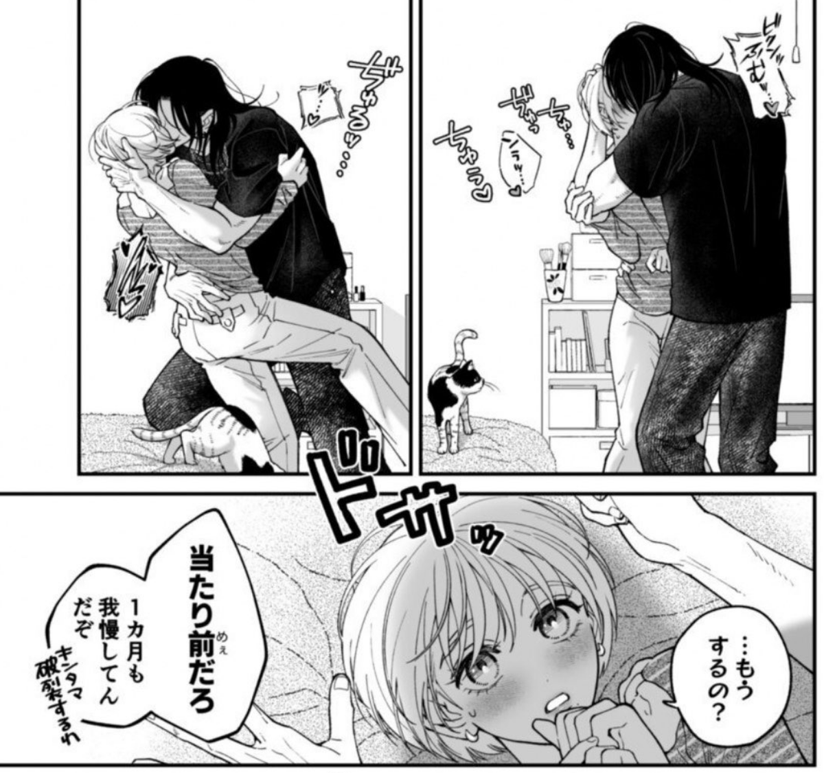 safakcelikb's tweet photo. おあずけが長いとこうなる(1/12) https://t.co/4wb300WL9x