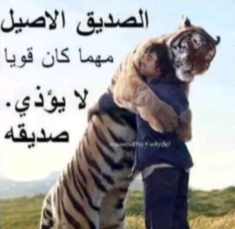 Hzmo_Luca's tweet photo. @aowaoe زمان كنت بليتشاوي ذحين مكنسليني البليتشاويين

عمومًا ماعلينا انت ما كنسلتني باقي عشان كذا ما انقطعت العلاقات https://t.co/8RejqddrvN