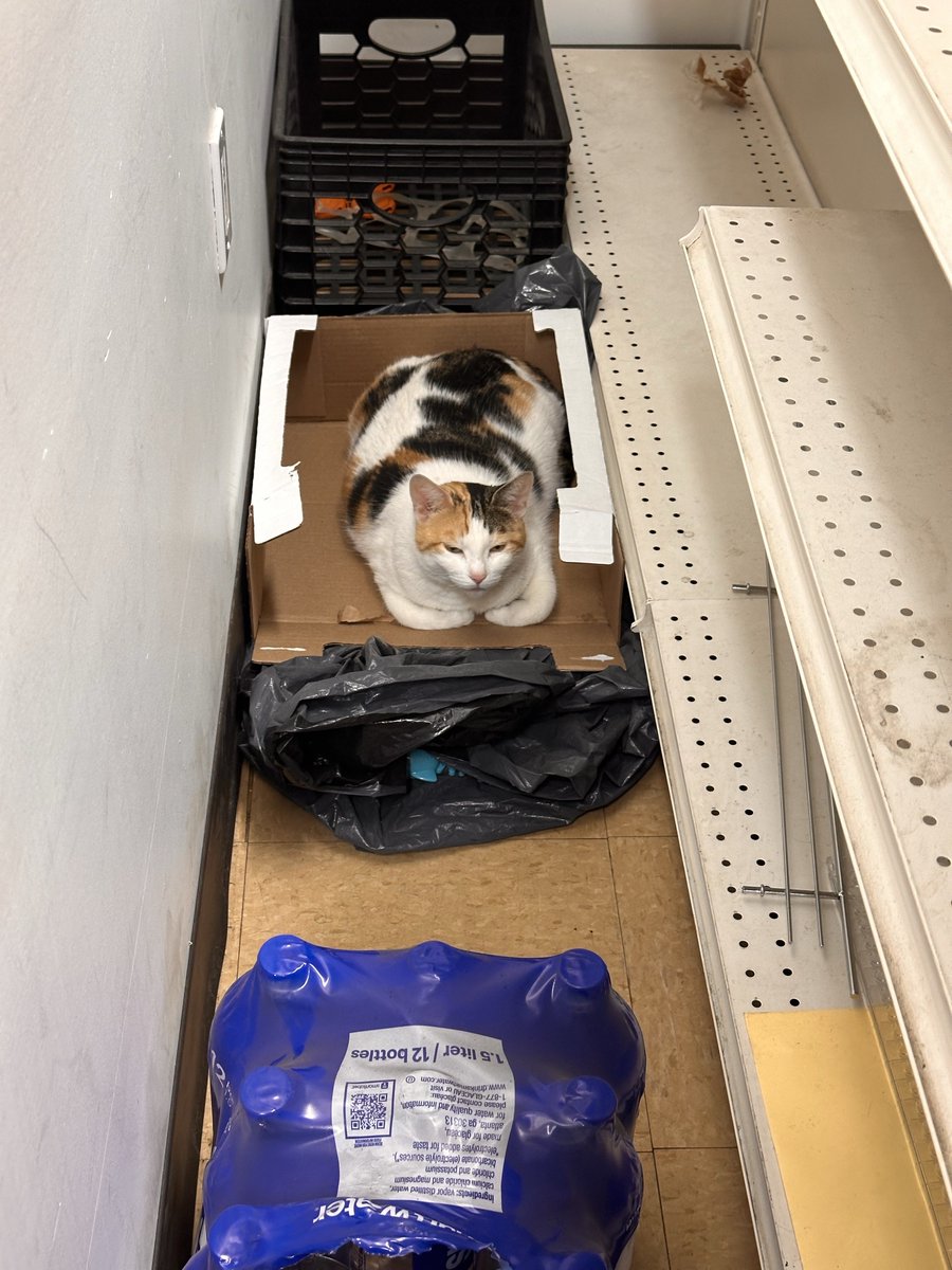 wesamo__'s tweet photo. When you turn the corner and accidentally walk into the manager's office https://t.co/wYe9aTeD22