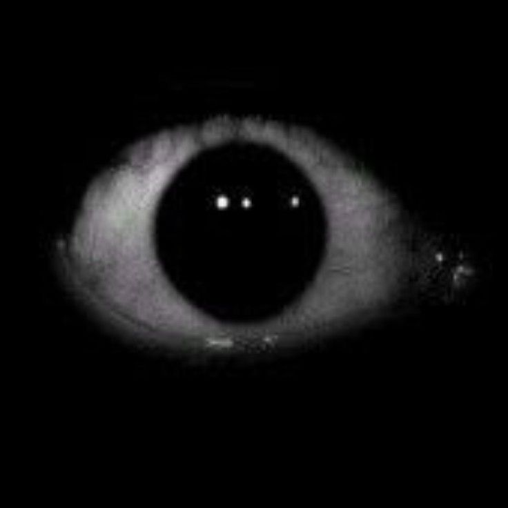TheAnimationMan tweet picture