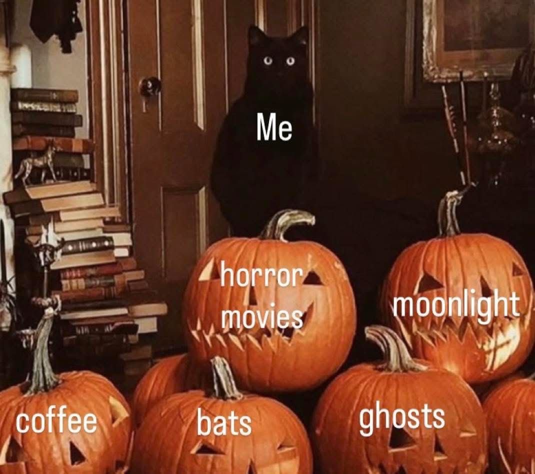 TheGhostHost's tweet photo. 🐈‍⬛ https://t.co/9RYmzPYcLx