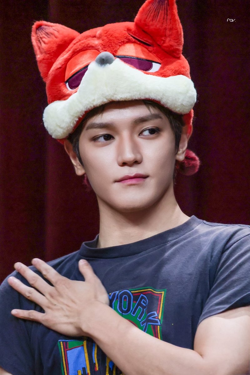 taeyongpictures's tweet photo. gorgeous 🦊 https://t.co/CAxRkb7Ekr