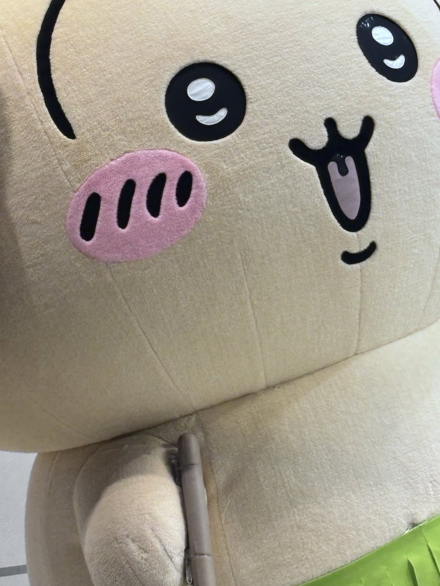 N_ra_2ver's tweet photo. kawaiiを摂取した(՞⸝⸝o̴̶̷̥᷅  ̫ o̴̶̷᷄⸝⸝՞) https://t.co/1PRANU2e4I