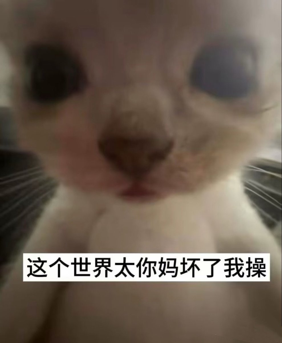 sanyi1208's tweet photo. https://t.co/H8JsZcaAbi