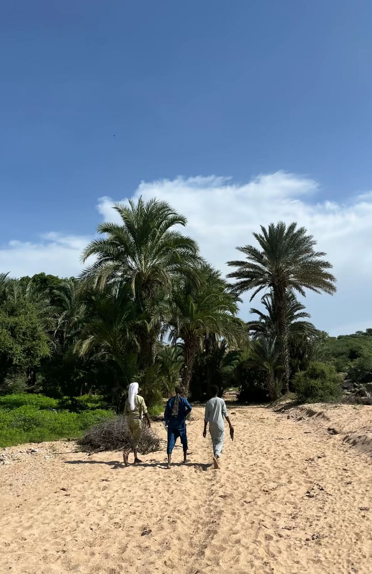 Haroun_Journal's tweet photo. Le Tchad, loin des clichés : entre la verdure des paysages et la vie qui s'y dessine 💚💚💚
#Tchad #Nature https://t.co/sseXCuPW02