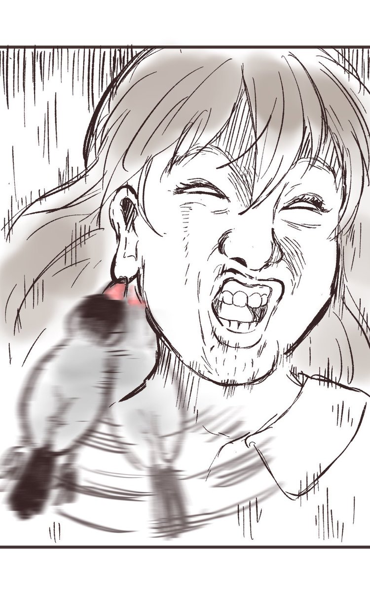 sinamomomomo's tweet photo. （再掲）文鳥あるある

かわいいおはなし聞かせて♪ https://t.co/zPydjElxZR