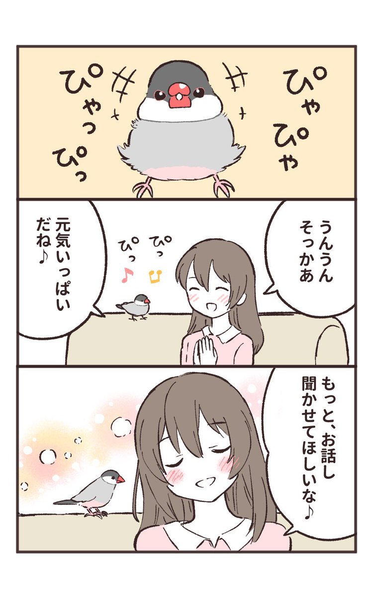sinamomomomo's tweet photo. （再掲）文鳥あるある

かわいいおはなし聞かせて♪ https://t.co/zPydjElxZR