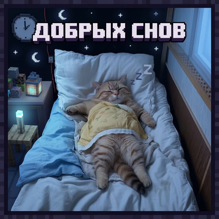 elkatwit's tweet photo. Все сейчас точно спатт https://t.co/tMlBEwcCqY