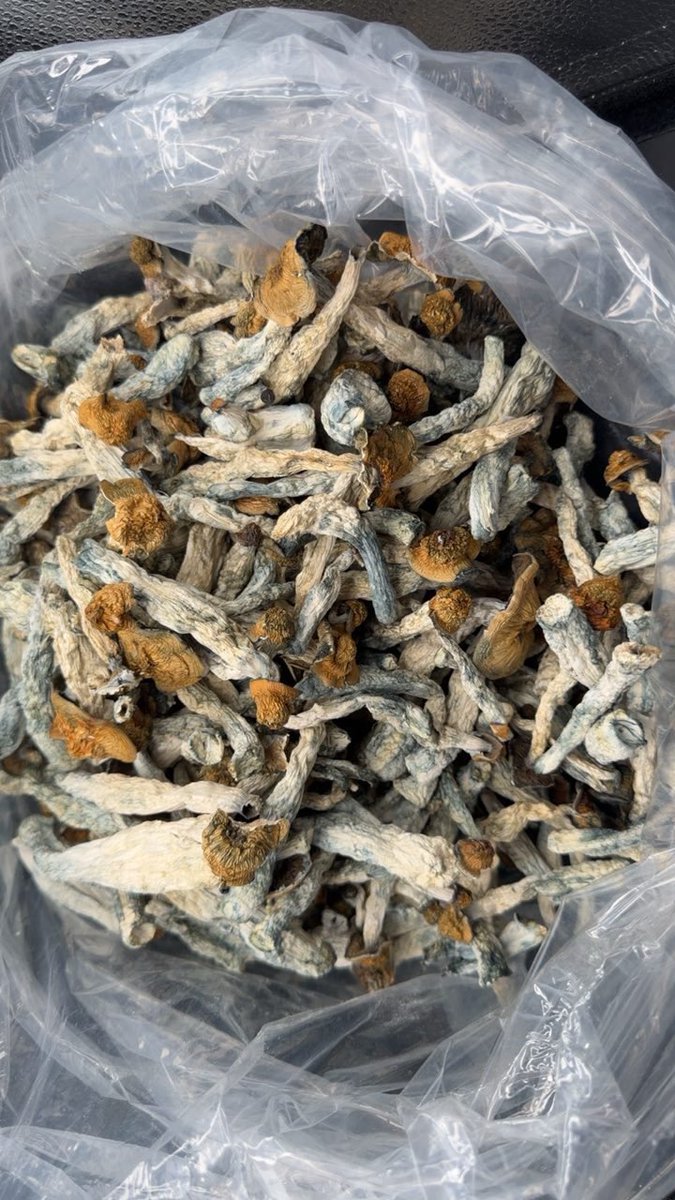 shroom1Lord's tweet photo. Shaktie x Tat (375$) all 🍄 you can a full pound 2 flavors also breakdowns hps 275$ https://t.co/qyLajEKVkX