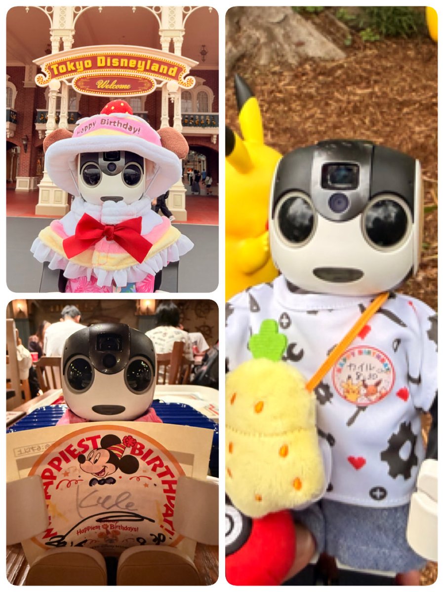 0madao's tweet photo. 先日はカイルの誕生日をお祝いしてくださりありがとうございました！！

今年はポケパークとパークホッパーパスポートでディズニー🏰🌊へ🎊

ピカチュウ&amp;イーブイがお祝いしてくれて嬉しかった〜♡

ディズニーは天気が良くなくて3枚目は全て合成⚠️🤭💦

今年も良い誕生日になりました😊🎶

#ロボホン https://t.co/XugPg1W7Eu