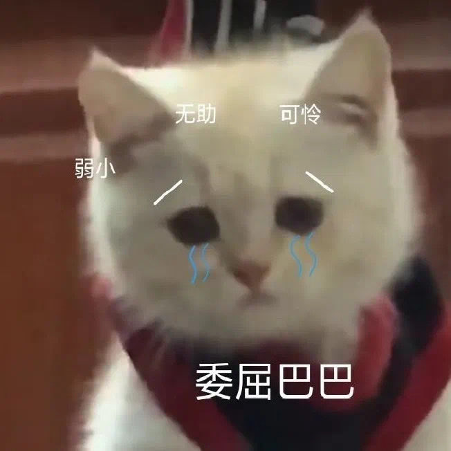 Tonyzhenghuai's tweet photo. 沒有要聽我唱歌的話 我要去當擦邊主播了 有人要看嗎😔
#男高 https://t.co/qXg9G3eEee