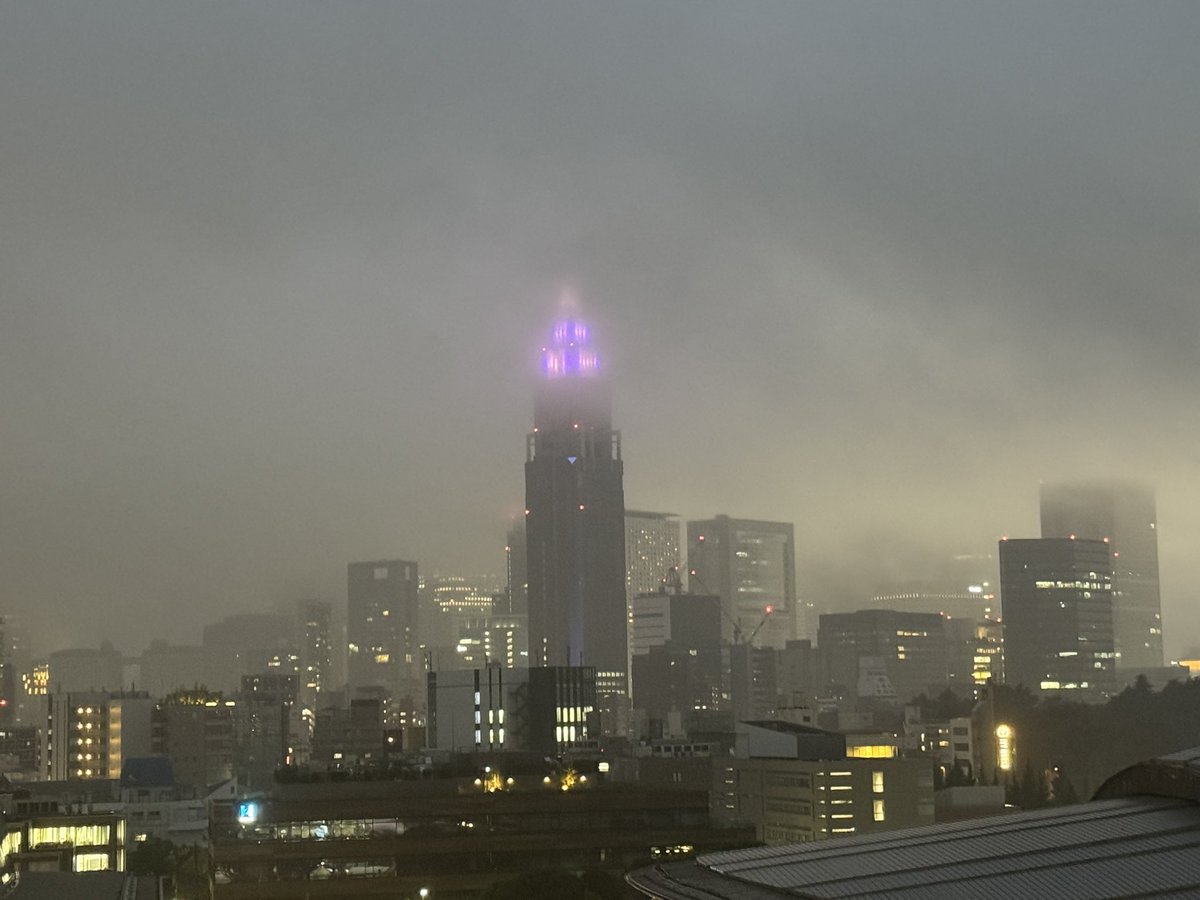 nagasawan's tweet photo. 雨の中.. https://t.co/Mgdhp7fyuw