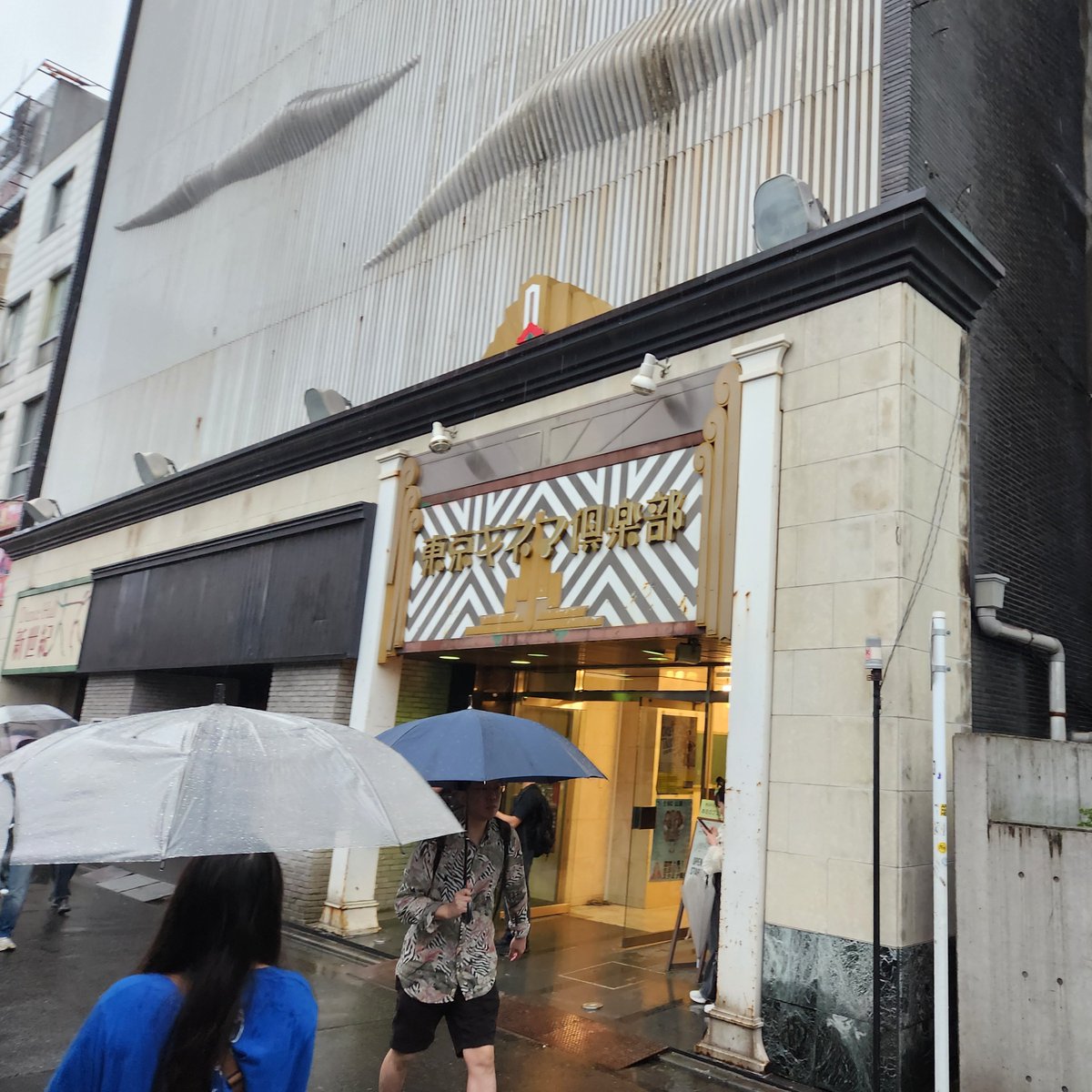 123cyacya456's tweet photo. 今日はぜんぶ君のせいだ。ジャパンファイナル東京キネマ倶楽部へ行ってきました。
ライブも会場の雰囲気も最高に楽しくてあっという間のひと時でした。
#ぜんぶ君のせいだ。
#ぜん君live https://t.co/r2WRj8rltN