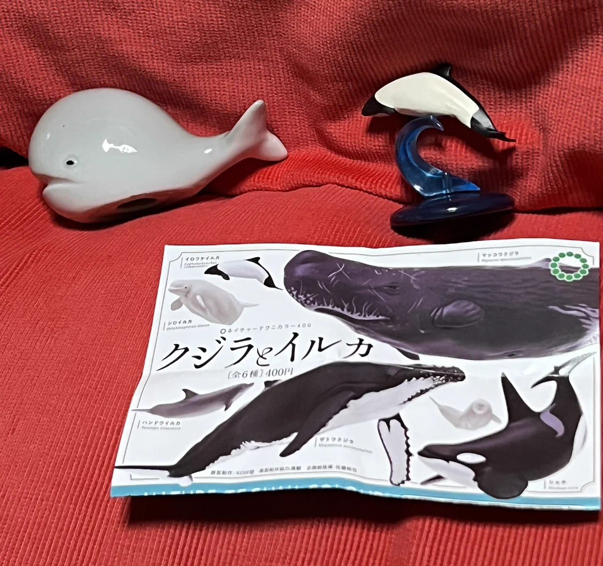 しろイルカさん専用 やまさき on X: 