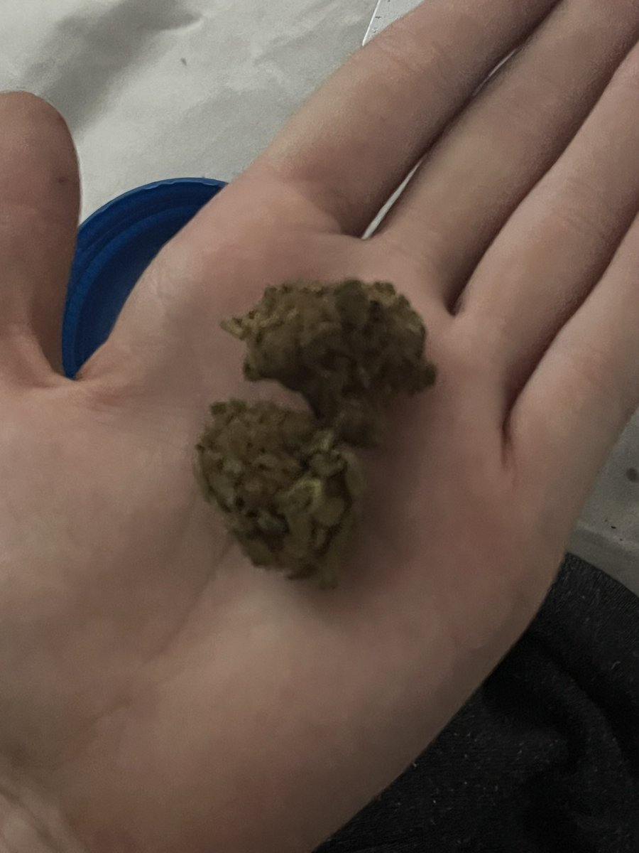 starzbat's tweet photo. all I got left from the 3.5 I bought Monday 💔  it’s raspberry parfait (sativa) def my favorite https://t.co/BpNSnh2aPz