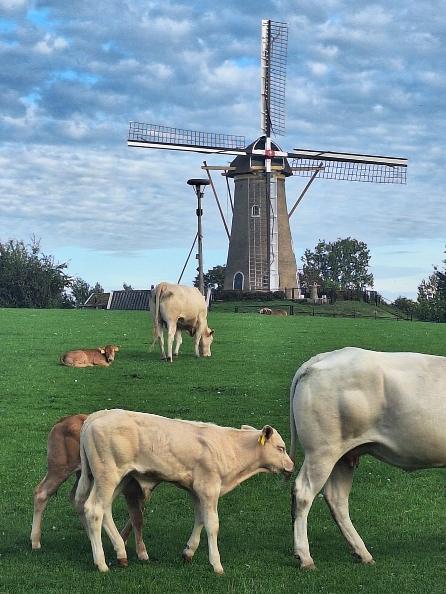 1971SAS1971's tweet photo. Dit is toch prachtig #Hoofddorp https://t.co/R1Bn7KY4zf