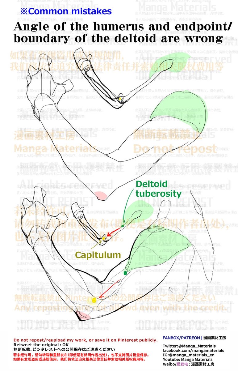 MangaMaterials2's tweet photo. PERSONAL NOTE: Tips for Drawing Bent Arms
Movement of the Arm : pronation and supination
Patreon
https://t.co/o1qmfeTm4g
FANBOX
https://t.co/49DAzfl1n0
Arm: Summary of the common mistake
Patreon
https://t.co/fxMI63xCE3
FANBOX
https://t.co/8uxegJSSMg
#drawingtips https://t.co/Y4oQisSDhJ