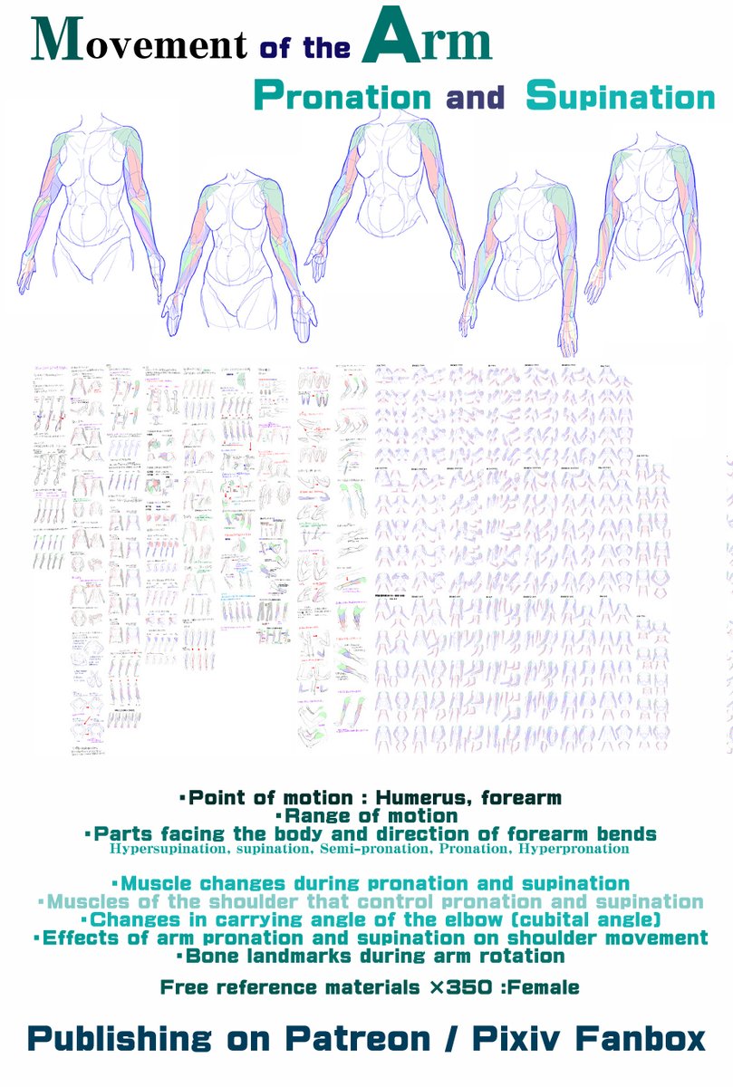 MangaMaterials2's tweet photo. PERSONAL NOTE: Tips for Drawing Bent Arms
Movement of the Arm : pronation and supination
Patreon
https://t.co/o1qmfeTm4g
FANBOX
https://t.co/49DAzfl1n0
Arm: Summary of the common mistake
Patreon
https://t.co/fxMI63xCE3
FANBOX
https://t.co/8uxegJSSMg
#drawingtips https://t.co/Y4oQisSDhJ