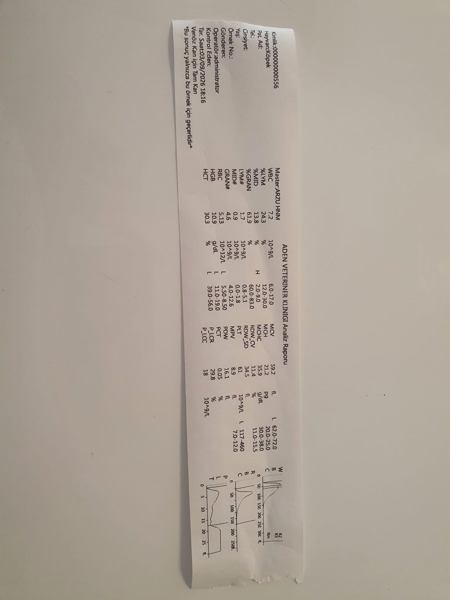 FYumos's tweet photo. Dün Kisirkaya barinağından cıkardigimiz cocukta kan paraziti cıktı kan degerleri toparlanan kadar klinikte kalicak hocamiz uygun görürse daha sonra tedavisine evde devam edebiliriz belki

Bu ara lütfen bizi yalniz birakmayin

Klinik,mama,cit hepsine ihtiyac var. https://t.co/rgv3SnK8Bj