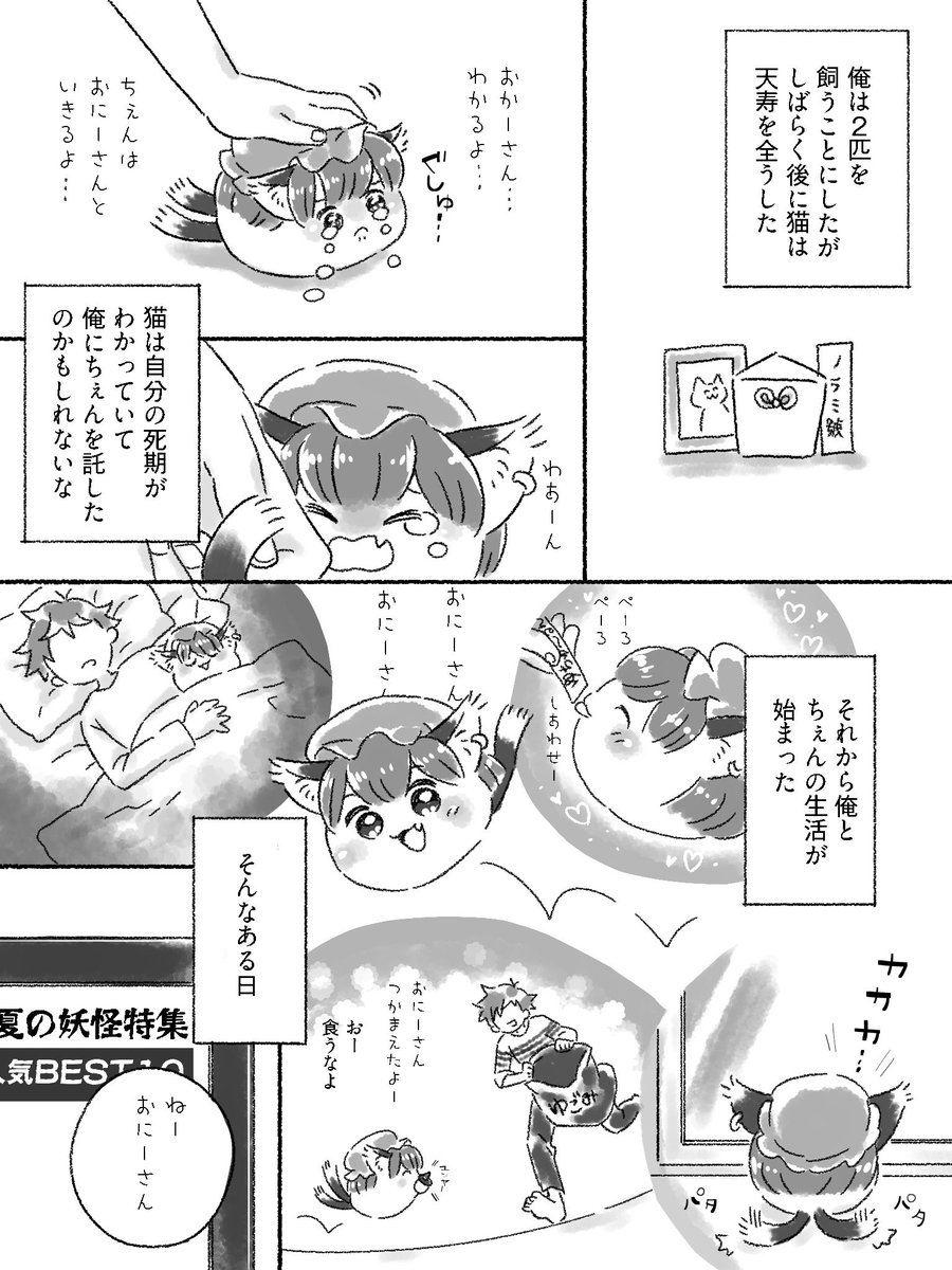 Yupichamyx's tweet photo. 愛でちぇん！ https://t.co/2DQy0YarE4