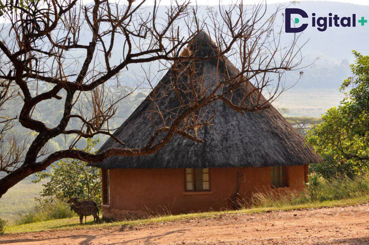 sendigitalplus's tweet photo. Jour de l'indépendance du Royaume d'#Eswatini https://t.co/XAggtVst3g
