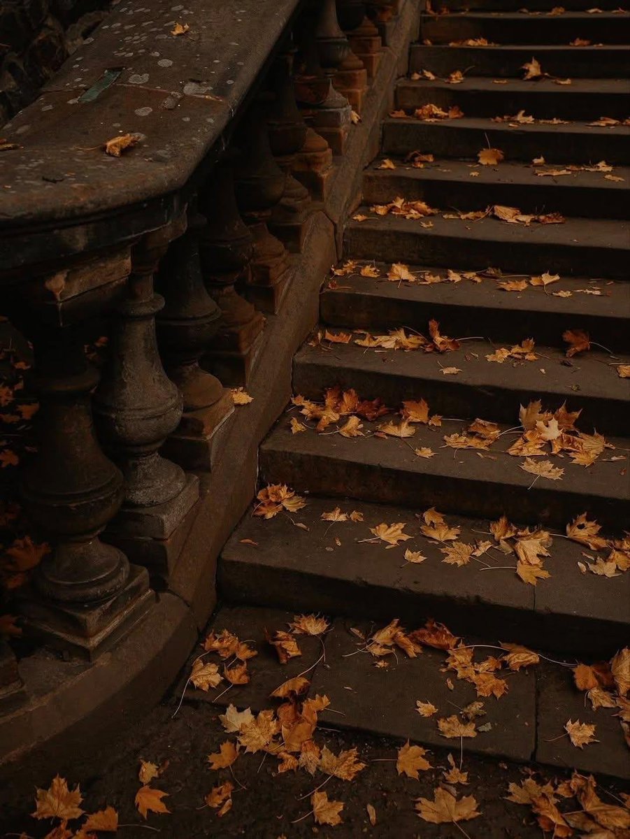 earthviewss1's tweet photo. Autumn in New York 🇺🇸 https://t.co/8Awfco5tDO