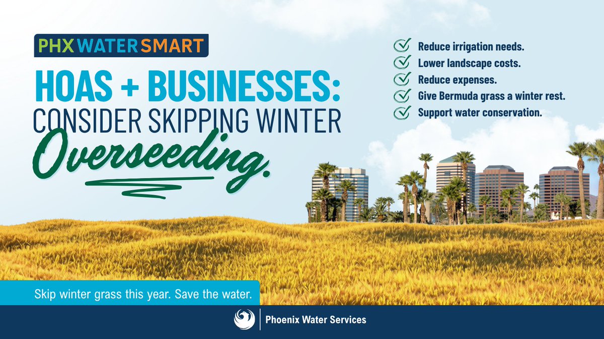 PHXWater's tweet photo. If your community usually overseeds Bermuda each fall, this is a good year to rethink it. 

Ask: does this area need to be green all winter? 

Keep functional turf, let other Bermuda go dormant, or replace unused areas with desert plants. 

Learn more: https://t.co/A3jIdYwaiO https://t.co/mLDCdN2cmm