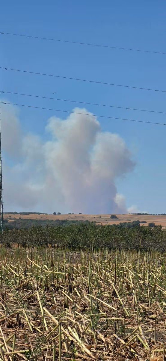 SlavicaPlavsic's tweet photo. ‼️Severno od Mramorka, ponovo gori šuma u Deliblatskoj peščari. Slučajno!? A juče su otišli vatrogasci iz Rumunije koje niko od zvaničnika nije ispratio. https://t.co/X0qBF6dGf6