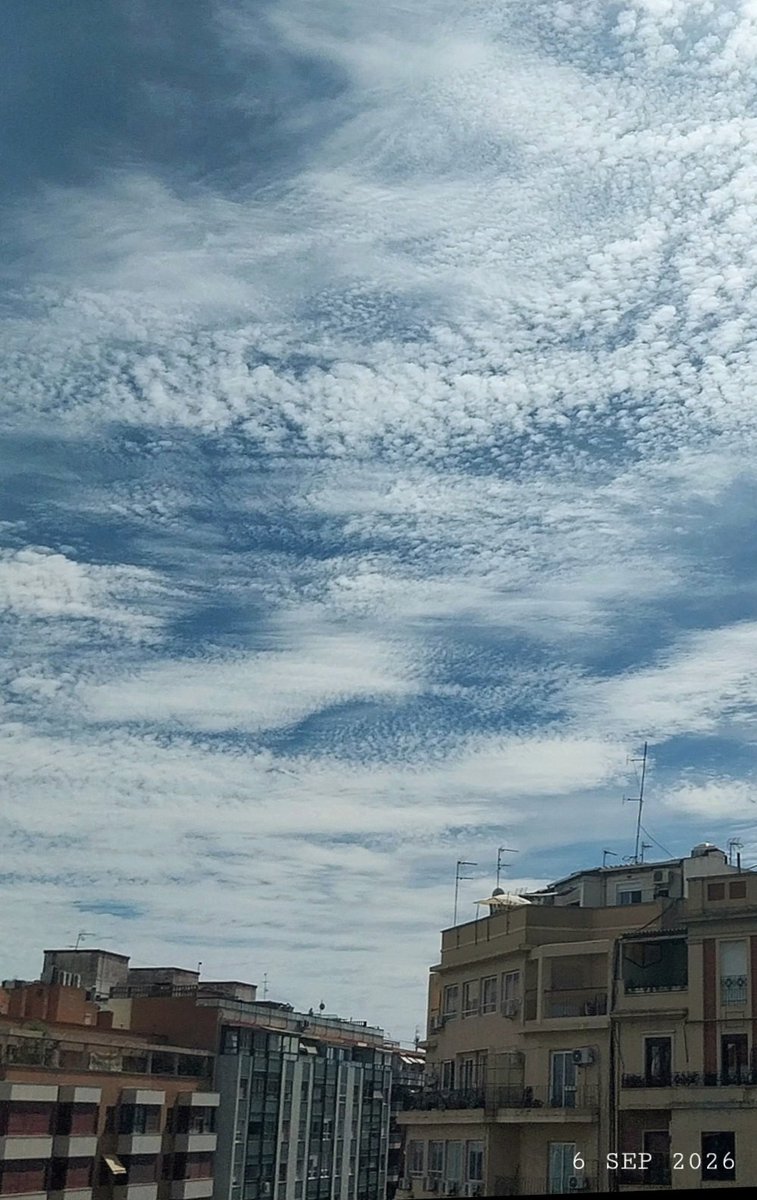 dddd476's tweet photo. ¿Calor?
¿O guerra climática?
#domingo
#oladecalor https://t.co/M7cHVE5pJX